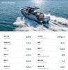 BRILLANT SW26